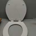 Bemis Richfield Elongated Toilet Seat White 1001262668-000 U1D