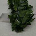 JACKYLED 84Ft 12 Pack Artificial Ivy Garland Fake Plants, Ivy Vines Leaves with CE Certified 80 LED String Lights, Hanging Ivy Lights for Bedroom Garden Party Wall Room Decor (Green)