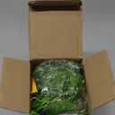 FERIAL Artificial Vines 15Feet Silk Flower Garland for Outdoors Yellow Morning Glory Vine Artificial Flowers Hanging Plants Garland Fake Green Plant 2Pcs for Wall Fence Indoor Wedding Banquet Decor