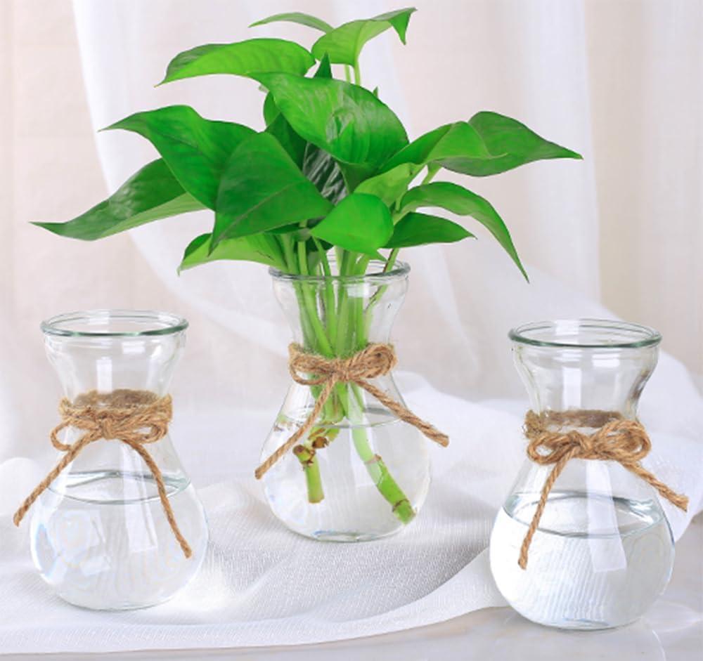 Three Hydroponic Hyacinth Glass Vases,Propagation Vases,Home Decoration Vase,DIY Interest Plant Cultivation Flower Bottles,Cottage Core Decor(Clear)
