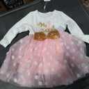 Baby Girl 1st 2nd 3rd Birthday Outfit Mouse Dress Polka Dots Tutu Skirt Cake Smash Long Sleeve Clothes for Photo Shoot, Size 