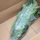 2 Pcs 48" Fake Ferns, 86 Branches Artificial Ferns for Outdoors Large Artificial Plants, UV Resistant Faux Boston Ferns Realistic Greenery for Patio Yard Porch Garden Hanging Decor