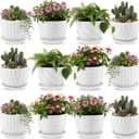 Maxdot 12 Set 4 Inch Ceramic Pots for Plants White Flower Pots with Drainage Holes Saucer Flower Planter for Indoor Outdoor Gardening Home Desktop Office Windowsill Decor