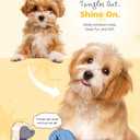 [PETHROOM] Healing Slicker Brush | Pet Brush | Dogs & Cats | Goldendoodle| Coated Tips for Gentle Grooming |Brush for Shedding | Long-Haired or Curly-Haired Dogs, White & Yellow