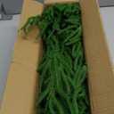 Alupssuc 9ft Christmas Garland, Norfolk Pine Garland