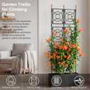 Trellis for Climbing Plants Outdoor, 24 Rifny Tall Garden Trellis Flower Rose Cucumber Trellis for Vines Pea Support, Wall Large Plant Trellis Fence with Plastic Screen Frame, 2 x 6.2 FT