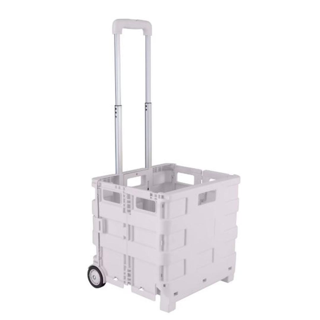 Simplify Tote & Go Collapsible Utility Cart in White , 55lb