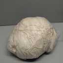 Beige Arch Cover Set of 2-7.2 and 6ft Beige Arch Backdrop Cover Spandex Wedding Arch Stand Cover for Bridal Shower Birthday Party Baby Shower Banquet Photo Arches Background Decorations