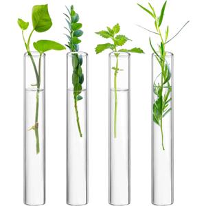 XXXFLOWER Glass Propagation Stations Accessories Glass Test Tubes Tiered Planters Wall Terrarium for Home Office Plant Hanger Flower Vases Wall Decor Hydroponic Cuttings Clear-4 Tube Vases