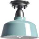 Blue Ceiling Light Fixture Macarons Indoor Ceiling Lights for Hallway Laundry Basement 10 in Barn Style Kitchen Light Fixtures Outdoor Ceiling Lights for Porch