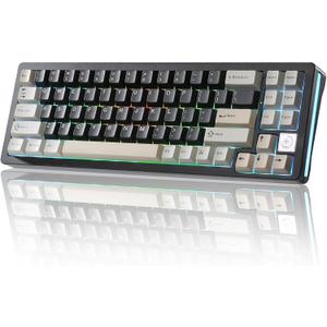YUNZII AL71 75% Mechanical Keyboard,Full Aluminum CNC,Hot Swappable Gasket,2.4GHz Wireless BT5.0/USB-C Wired,NKRO Programmable RGB Backlight Creamy Typing for Win/Mac(Black,Crystal White Switch)