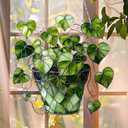 1PC Heart - Leaf Plant Acrylic Suncatcher Hanging, 7.08 inch Window Decor with Printed Stained Glass Style Design, Rainbow Maker Wall Art, Gift Idea & Garden Ornament Indoor Outdoor Use/ZW-03