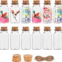 Small Bottles with Cork 25 ml, 12 Pack Glass Vials with Corks, Spell Jars, Sand Bottle, Mini Potion Bottles, Small Glass Bottle for Crafts, Decoration, Party Favors