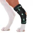 Lyderpet Dog Rear Leg Brace for Hock Joint, Compression Wrap Strong Support Back Leg for Canine Torn ACL & CCL, Injury and Sprain Protection, Keeps Stability for Wounds Care and Arthritis (XS)
