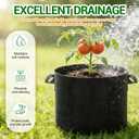 5-Pack 5 Gallon Grow Bags, Thickened Aeration Fabric Pots with Handles, Heavy Duty Plant Bags for Vegetables, Tomatoes, Potatoes, Fruits & Flowers, Reusable Garden Pots for Plants