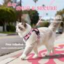rabbitgoo Cat Harness and Leash for Walking, Escape Proof Soft Adjustable Vest Harnesses for Cats, Easy Control Breathable Reflective Strips Jacket, Pink, S