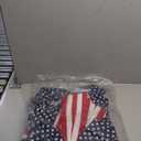 Fun Express Patriotic American Flag Flocked Bows - 6 Pc