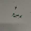 Riakrum 150 Pcs Christmas Replacement Mini Light Bulb 3 Volt 0.06 Watt Christmas Tree LED Light Bulbs Warm White Xmas Lights with Green Base for Party Holiday Indoor Outdoor Supplies