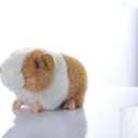 Cute rabbit 8 inch Guinea Pig Plush Toy Stuffed Animal Toy Plush Animal Doll (Orange)
