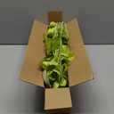 ATFL Green Poppy Flowers Artificial Bouquet for Wedding,12 Pcs Fake Faux Silk Poppies Bulk for Home Decor Table Centerpieces Floral Arrangement(23.5, Green)