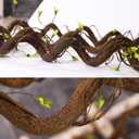 Bendable 63in Artificial Tree Twigs Cane Vine Branches Fake Plants Trunk Garland with Leaves for Home Wedding Garden Wall Hanging X'Mas Christmas Thanksgiving Day Decoration