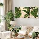 3pcs Framed Palm Leaves Banana Leaf Tropical Plants Wall Art Decor Canvas Print Nature Style Home Greenery Pictures Poster Gallery Bedroom Living Room Studio 12x16 Inch Ready to Hang