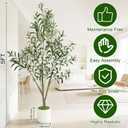 Timoo Faux Olive Tree Olive Trees Artificial Indoor with White Planter (5 FT)