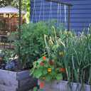 Freyr Trellis - Vegetable Garden Trellis for Tomatoes, Cucumbers, Beans, Peas, and More (Charcoal)