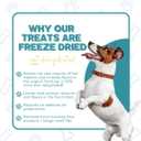 Freeze Dried Dog Treats USA Sourced and Small Batch Made - Human-Grade, All Natural Superfood Dog Snacks Without Artificial Preservatives, Grain Free - 10.5 oz, Variety, 3-Pack