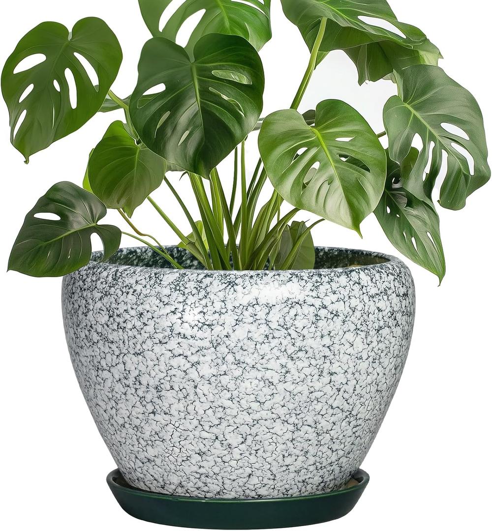 Ceramic Flower Pots, 8 Inch Pots for Plants Indoor, Crackle Green | Round Plant Pot Indoor with Drainage Hole and Saucer, Modern Decorative Planter, Bedroom Decor, Gardening Gifts
