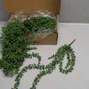 dallisten 12 Pcs Artificial Succulents Hanging Plants, Fake String of Pearls Greenery Plants, Decoration for Wall, Home, Backdrop, Garden, Indoor and Outdoor