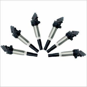 JAPISEN Set of 6 Ignition Coil Pack Compatible with UF667 bmw x1 accessories BMW 128i 135i 323i 325i 330i 335i 525i 528i 550i 650i M5 M6 X3 X5 X6 Z4 Z8 2.5L 3.0L 4.4L 6.0L Replacement for 12137550012