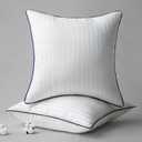 Phantoscope 18x18 Pillow Insert Set of 2 - Striped Throw Pillow Insert with 100% Cotton Cover - Soft Decorative Throw Pillows with Piping Square Cushion Form Filler for Sofa, Couch, Bed (White)