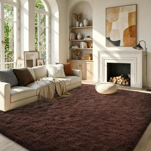 FinRèc Dark Brown Rugs for Bedroom Living Room, 4x6 Feet Fluffy Shaggy Area Rug, Non-Slip Soft Shag Rug for Nursery Kids Room Dorm Room Home Decor, Indoor Plush Floor Carpet