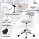 FIRAVOE Drafting Stool (Height Adjustable Office Chair with Footrest 19.5"-26.6")(Drum Stool with Back) Space Saving Tattoo Chair (Gray)