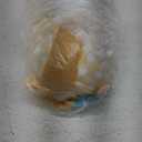 Squishmallows 8" Tulsa the Spotted Horse