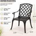 Indoor and Outdoor Patio Bistro Chairs with Armrest Bronze Dinning Set 2 Chairs, Cast Aluminum.