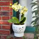  Orchid Pots with Holes Self Watering Ceramic Orchid Pot 7.7 Inch White Breathable Slotted Pot for Orchid Root Air Circulation Orchid Planting Machine with Drainage