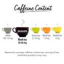 Bigelow Constant Comment Caffeinated Black Tea Bags, 20 Count (Pack of 6) (EXP 04/30/29)
