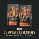 Purina Pro Plan Complete Essentials Wet Dog Food Chicken and Rice Entree and Beef and Rice Entree Variety Pack - (Pack of 12) 13 oz. Cans (EXP 07/01/27)