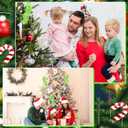 24 Pcs Christmas Tree Picks Set Furry Lime Green Curly Picks Stems Red Green Artificial Glitter Curly Berry Candy Sprays Ornaments Stems for Xmas Tree Topper Home Vase Fillers Decorations