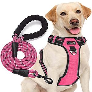 No Pull Dog Harness Adjustable Reflective Oxford Easy Control Medium Large Dog Harness with A Free Heavy Duty 5ft Dog Leash, XL