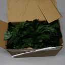 12 Packs Artificial Ivy, 84FT Garland Hanging Plants Fake Vines with 200 LED String Light for Bedroom Wedding Party Garden Wall Room Home Decor