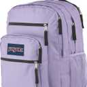 JanSport Laptop Backpack - Computer Bag with 2 Compartments, Ergonomic Shoulder Straps, 15 Laptop Sleeve, Haul Handle - Pastel Lilac (Purple)