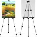 Art Painting Display Easel Stand - Portable Adjustable Aluminum Metal Tripod Artist Easel with Bag, Height from 17" to 66", Extra Sturdy for Table-Top/Floor Painting, Drawing, and Displaying, Silver