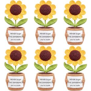 Wavwavw 6 Pcs Employee Appreciation Gifts Bulk Administrative Professionals Week Gift Thank You Volunteer Team Coworkers Staff Positive Handmade Crochet with Inspirational Card(Difference You've Made)