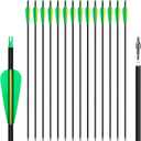 14 Pack 30" Archery Carbon Arrows,Practice Hunting Arrow with Removable Tips Shaft Spine 500 Suitable for Recurve Bows