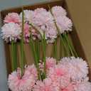 20Pcs Artificial Silk Chrysanthemum Ball Plants Fake Mums Flower Arrangements Wedding Bouquets Decor Home Kitchen Garden Party Table Floral DIY (Light Pink&Dark Pink)