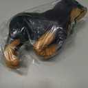 BABOLI Realistic Rottweiler Stuffed Animal Extremely Lifelike Plush Rottie Dog Toy Black Puppy Doll for Kids Present or Stuff Collection 12 Inches