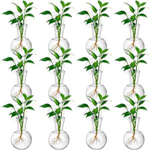 12Pcs Window Propagation Stations Bulb Glass Vases with Suckion Cups Hooks Hydroponics Plant Propagation Vases No Nails Wall Hanging Planter for Water Plant Propagation Rooting Cuttings